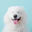 apantry.in.th favicon